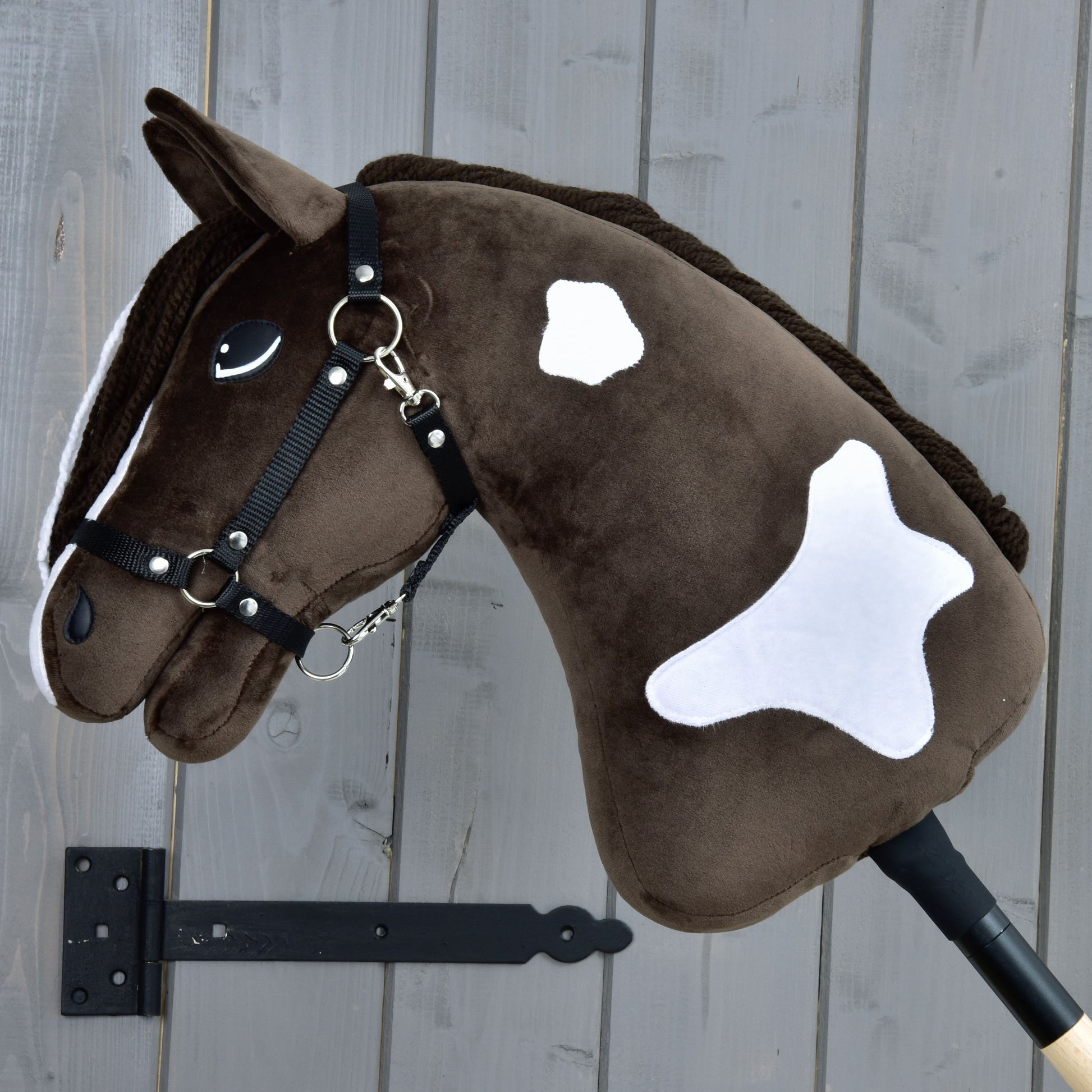 Hobby Horse Monte with Black Halter