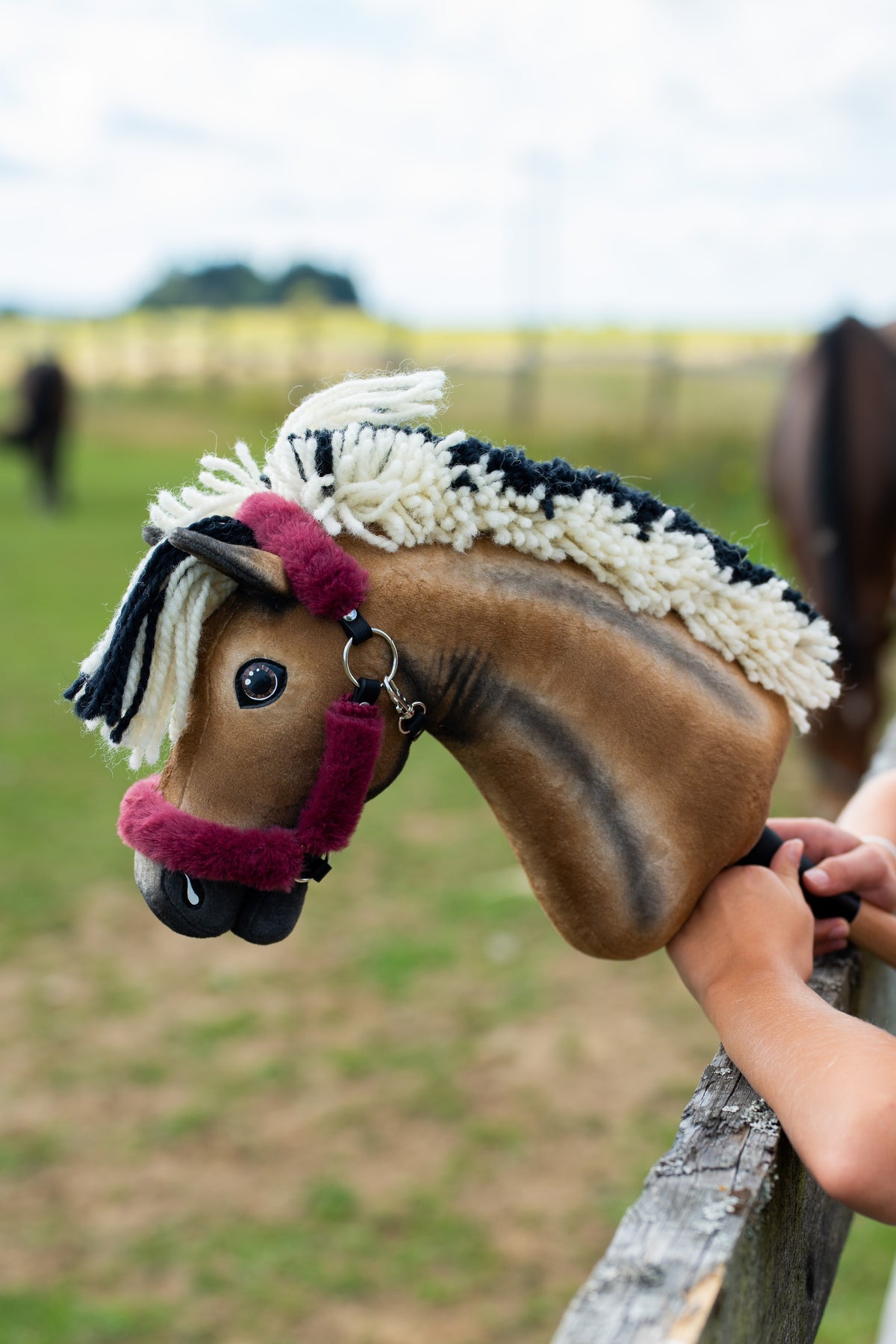 Hobby Horse Ozzy with Black Halter outdoors with a maroon plush halter and cream-black yarn mane