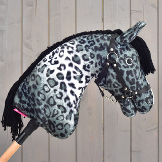 Hobby Horse Picasso with Black Halter