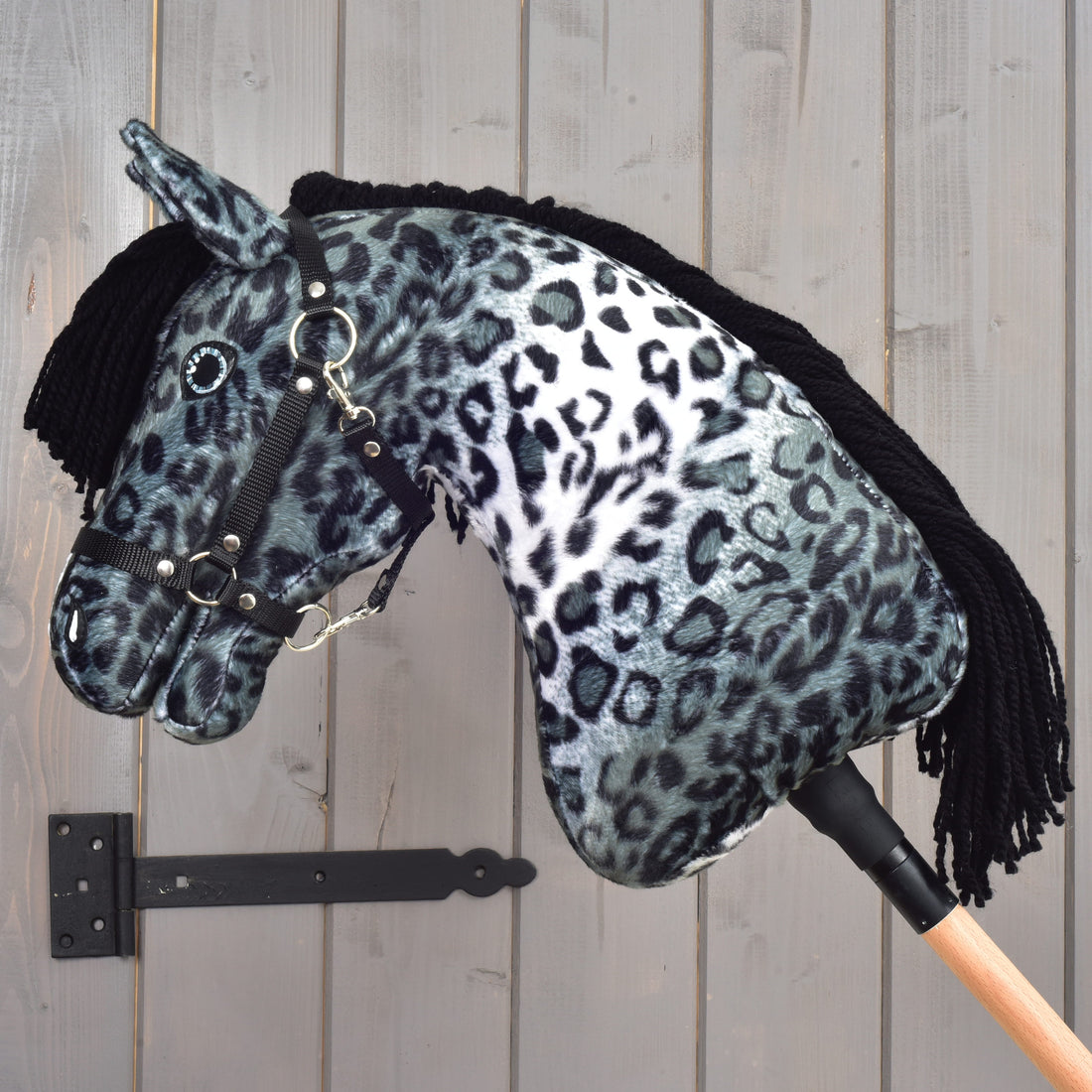 Hobby Horse Picasso with Black Halter