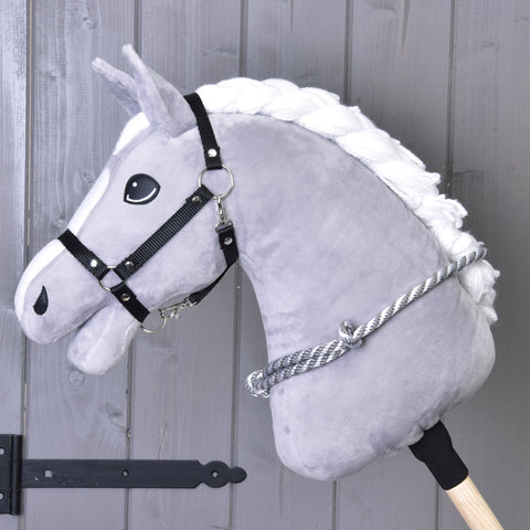 Cordeo silver stripe 1