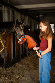 Lifestyle photo: a girl in a dark red top stands in a stable aisle holding the Hobby Horse Rocky by Hobby Horse LarDen, real horses watching from their boxes - chestnut brown plush head, white blaze, black yarn mane - shown here with the black complete bridle with fur and reins.