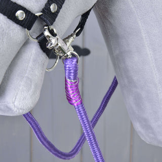 Reins Viola