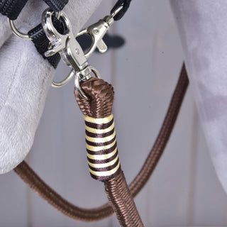 Reins Vivaldi