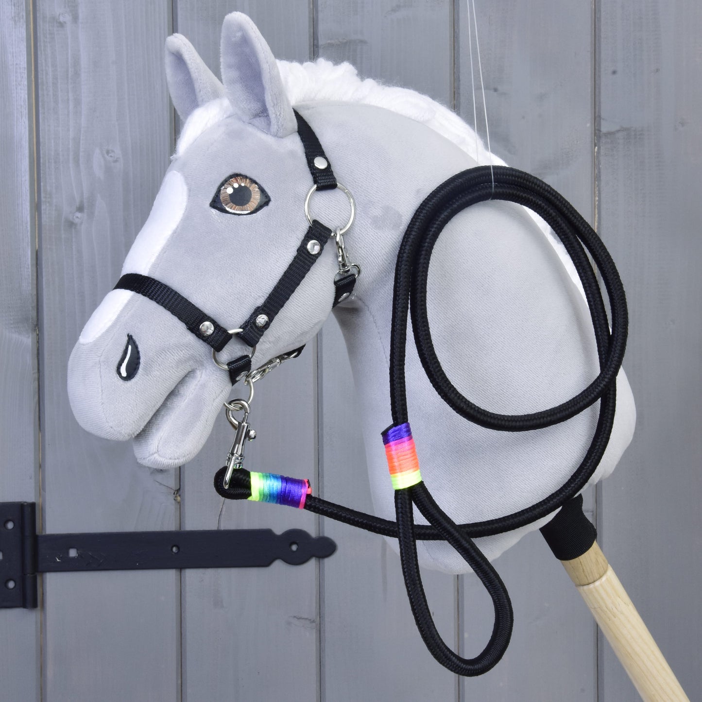 Hobby Horse - Paracord Leash Rainbow 1