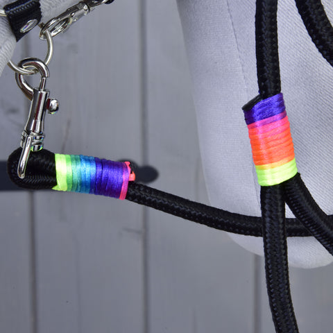 Hobby Horse - Paracord Leash Rainbow 2