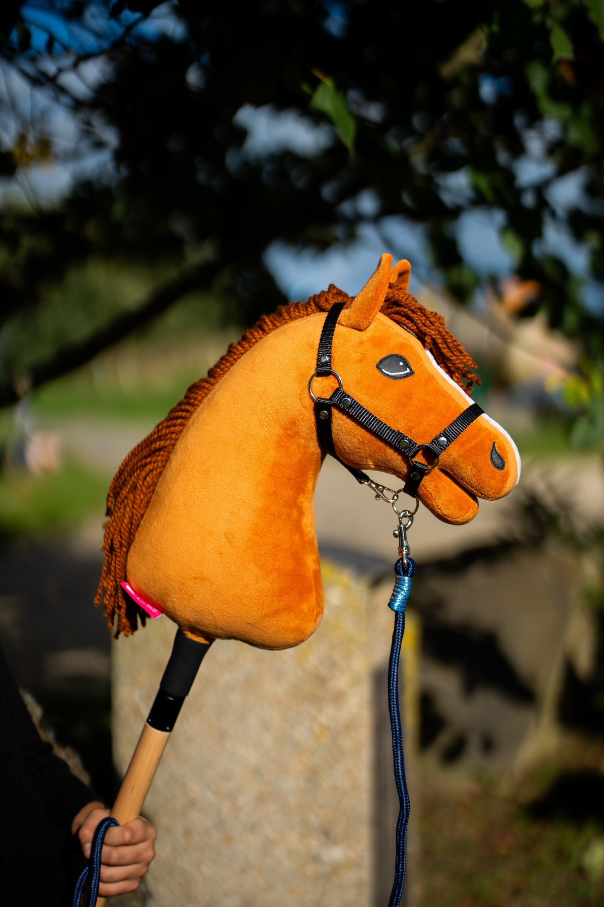 Detail photo: the head of the Hobby Horse Wendy with Black Halter by Hobby Horse LarDen held up in warm evening light - bright chestnut plush, ginger yarn mane and forelock - shown here with the Blues rope stripe lead.