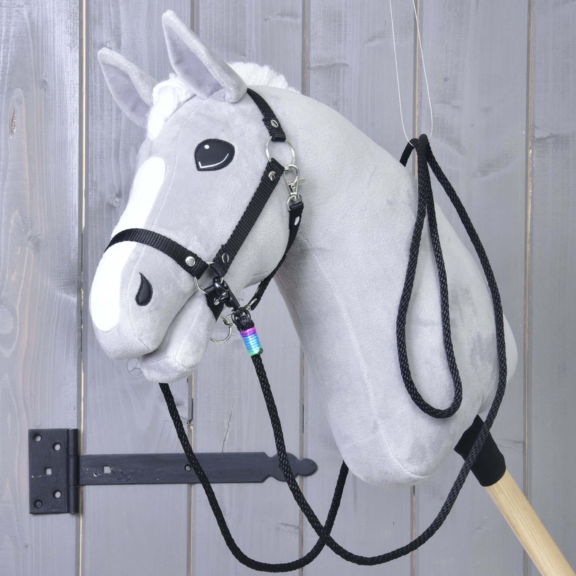 Western Reins Montana