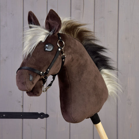Hobby Horse Alfredo with black halter