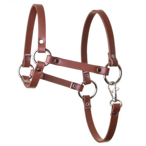Halter - brown leatherette (size M)