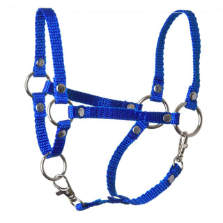 Halter blue