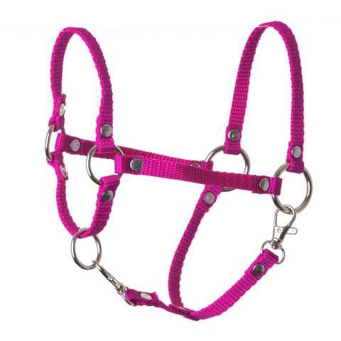 Halter rose