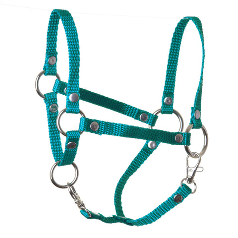 Halter turquoise